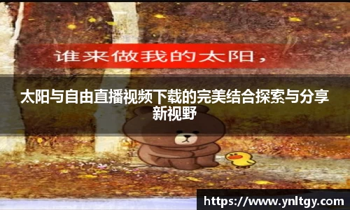 JN体育