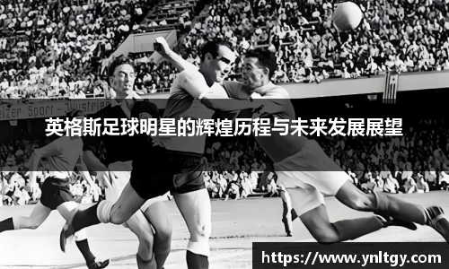 jn江南